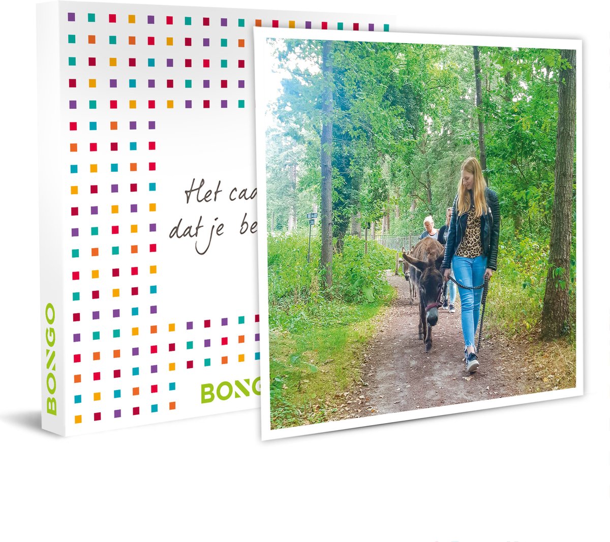 Bongo Bon - WANDELING MET 1 EZEL IN ZEIST - Cadeaukaart cadeau voor man of vrouw