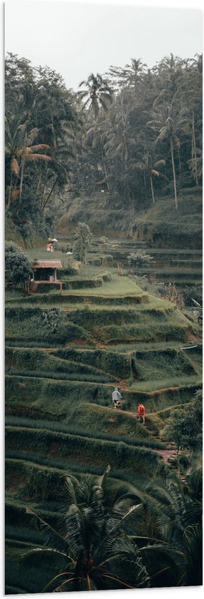 WallClassics - Vlag - Landbouwvelden in Bali - 40x120 cm Foto op Polyester Vlag