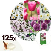 Plant in a Box - Bulb Garden Pink - 125x Bollen Mix - Narcis, Allium, Krokus, Tulp - Bloembollen voor Tuin, Terras of Balkon