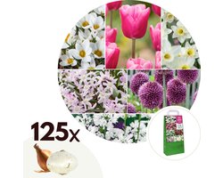 Plant in a Box - Bulb Garden Pink - 125x Bollen Mix - Narcis, Allium, Krokus, Tulp - Bloembollen voor Tuin, Terras of Balkon