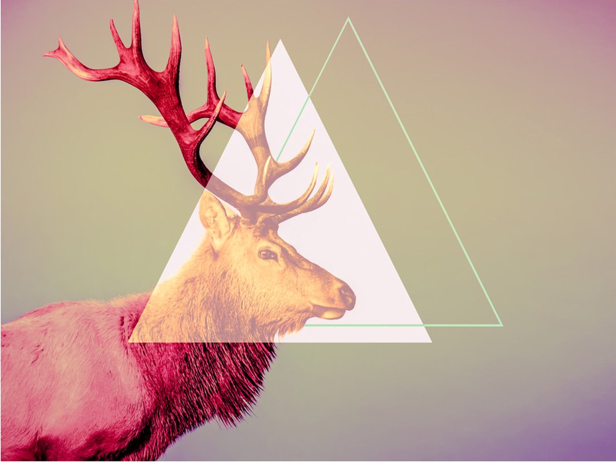 Fotobehang - deer (graphic pattern).
