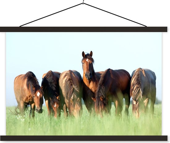 Support pour affiches avec affiche 120 x 80 cm - Affiche scolaire - Paarden - Animaux - Herbe - Été - Affiche textile - Lattes noires