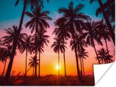 Affiche Palmier - Coucher de Soleil - Horizon - Plage - Oranje - Rose - 40x30 cm