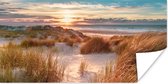 Poster Duin - Planten - Zonsondergang - Strand - Zee - 80x40 cm