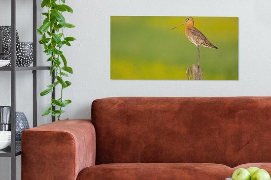Toile - Tableau - Vogel - Animaux - Barge à queue noire - Perche - Vert - Peintures sur toile - Photo sur toile - 80x40 cm - Décoration murale - Salon