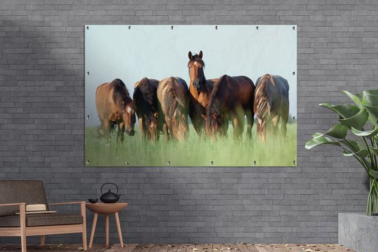 Décoration murale Paarden - Animaux - Herbe - Été - 180x120 cm - Poster jardin