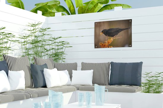 Décoration de Jardin Vogel - Merle - Hiver - Glace - Baie - 40x30 cm - Toile de jardin - Poster extérieur