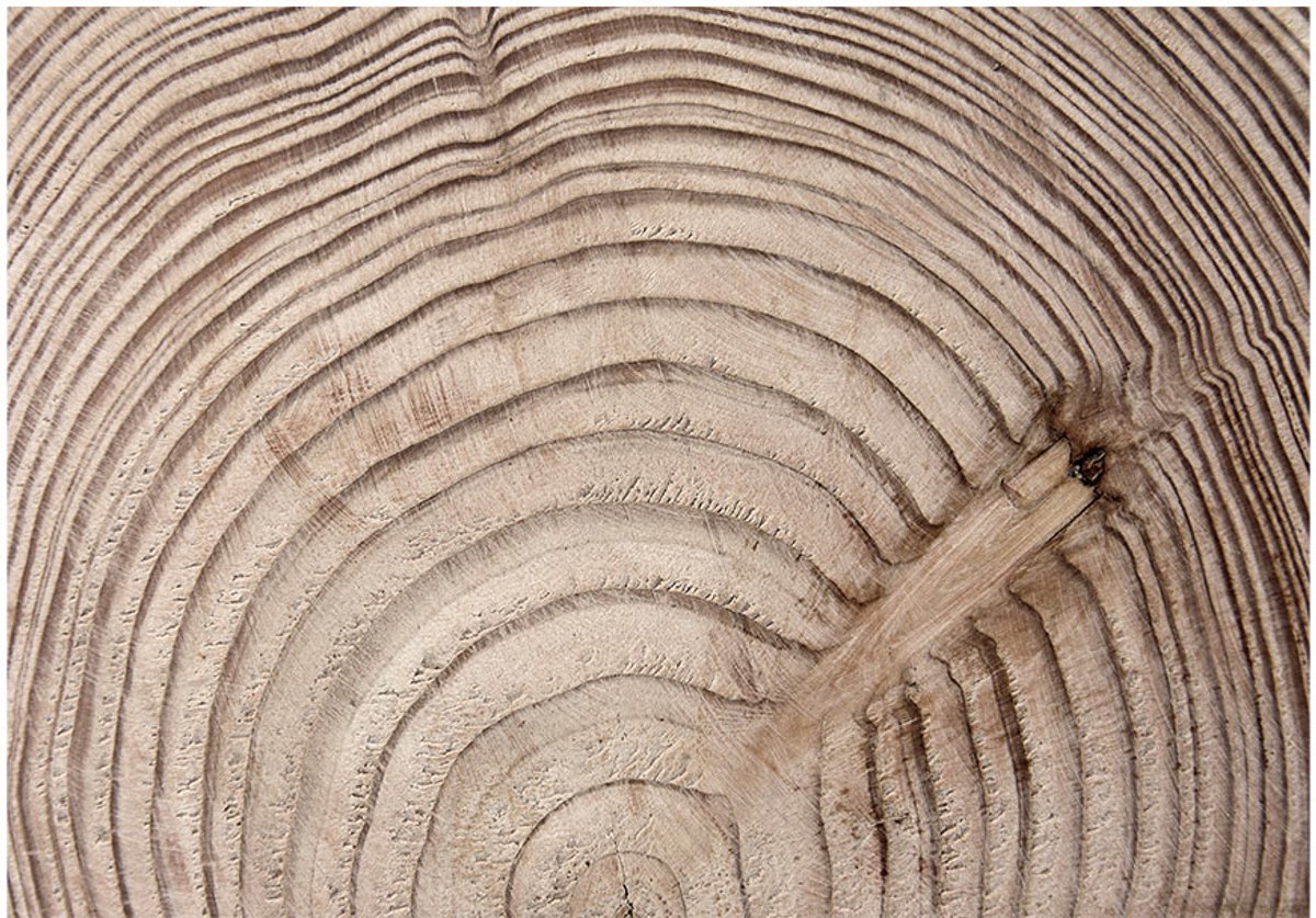 Fotobehang - Wood grain.