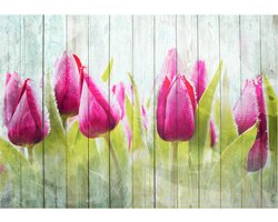 Fotobehangkoning - Behang - Vliesbehang - Fotobehang Tulpen op Houten Planken - Tulips on white wood - 150 x 105 cm