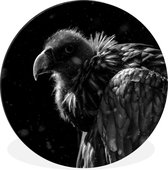 WallCircle - Wandcirkel - Muurcirkel - Portret van een gouden gier tegen een zwarte achtergrond - zwart wit - Aluminium - Dibond - ⌀ 30 cm - Binnen en Buiten