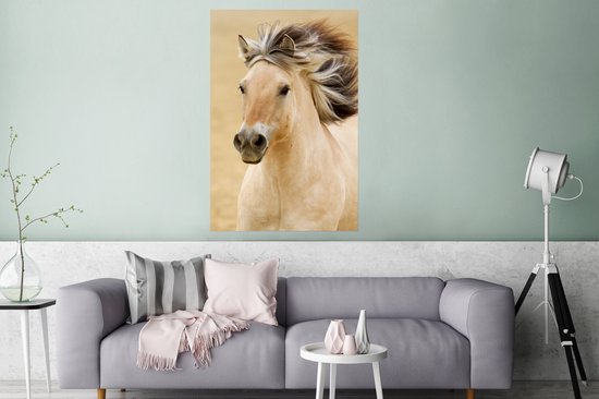 Affiche Cheval - Animal - Crinière - Portrait - 80x120 cm