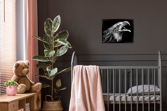 Cadre photo avec affiche - Aigle - Portrait - Oiseaux de proie - Zwart - Wit - Vogel - 40x30 cm - Cadre pour affiche