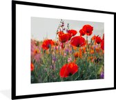 Fotolijst incl. Poster - Klaproos - Bloemen - Rood - Paars - Weide - 80x60 cm - Posterlijst