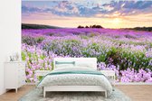 Behang - Fotobehang Bloemen - Lavendel - Paars - Lucht - Zonsondergang - Weide - Natuur - Breedte 350 cm x hoogte 260 cm