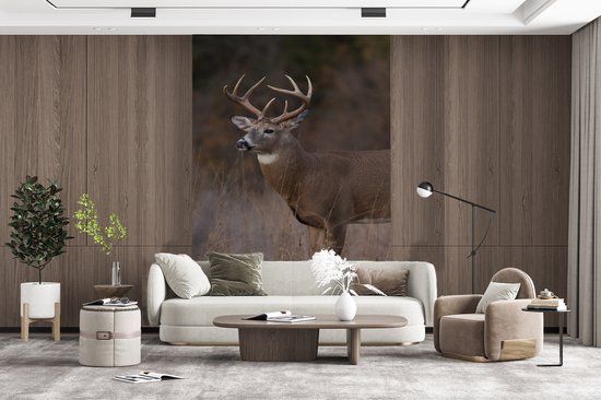 Behang - Fotobehang Herfst - Hert - Gras - Natuur - Dieren - Breedte 225 cm x hoogte 350 cm