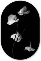 Muurovaal - Wandovaal - Kunststof Wanddecoratie - Ovalen Schilderij - Orchidee - Bloemen - Zwart - Wit - 40x60 cm - Ovale spiegel vorm op kunststof