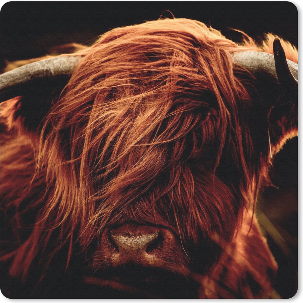 Muismat - Mousepad - Schotse hooglander - Koe - Hoorns - Portret - Dieren - 30x30 cm - Muismatten