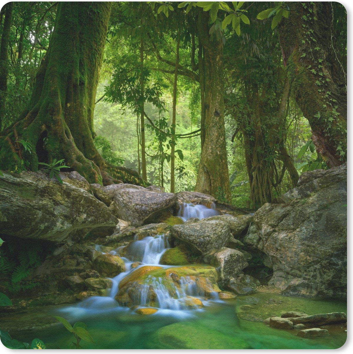 Muismat 20x20 cm - Mousepad Jungle - Stenen - Water - Natuur - Planten - Muismatten