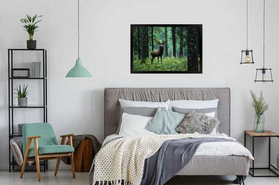 Cadre photo avec affiche - Cerf - Forêt - Arbres - Animaux - Nature - 90x60 cm - Cadre pour affiche