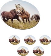 Onderzetters voor glazen - Rond - Paarden - Gras - Lente - 10x10 cm - Glasonderzetters - 6 stuks