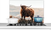 Spatscherm keuken 90x60 cm - Kookplaat achterwand Schotse hooglander - Dieren - Landelijk - Landschap - Koe - Natuur - Muurbeschermer - Spatwand fornuis - Hoogwaardig aluminium