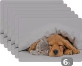 Placemat - Placemats kunststof - huisdieren - hond - Kat - Deken - 45x30 cm - 6 stuks - Hittebestendig - Anti-Slip - Onderlegger - Afneembaar