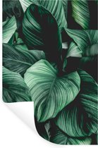 Muurstickers - Sticker Folie - Jungle - Bladeren - Tropisch - Planten - Natuur - 20x30 cm - Plakfolie - Muurstickers Kinderkamer - Zelfklevend Behang - Zelfklevend behangpapier - Stickerfolie