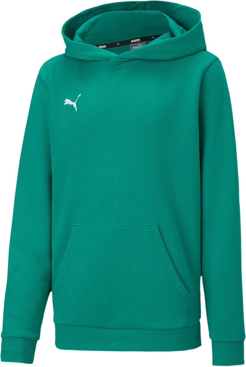 PUMA kinderteamGOAL 23 Casuals hoody sweatshirt pullover 656711 Groen