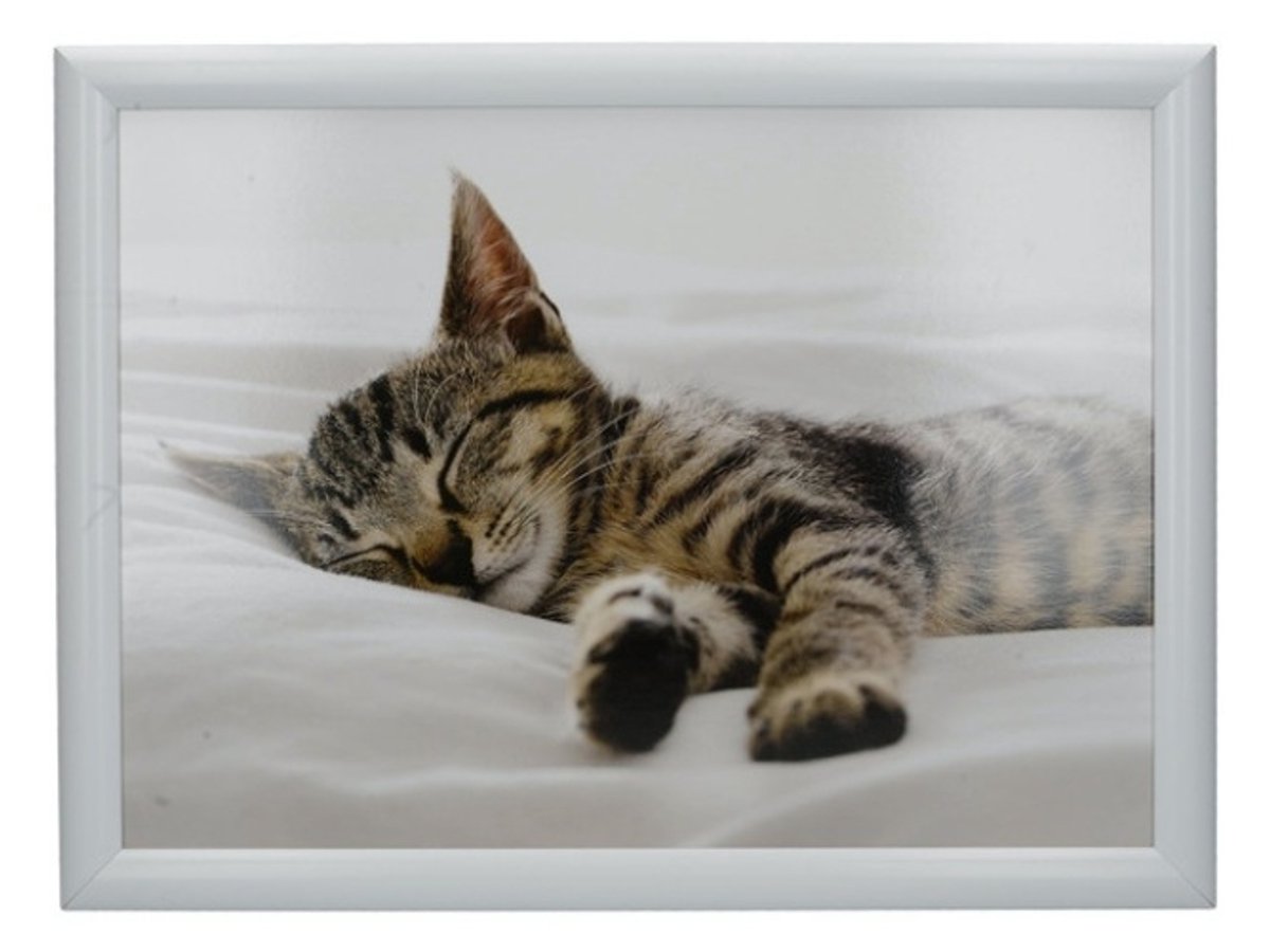 Laptray, Schootdienblad, Kitten, 44 x 34 cm - Creative Tops