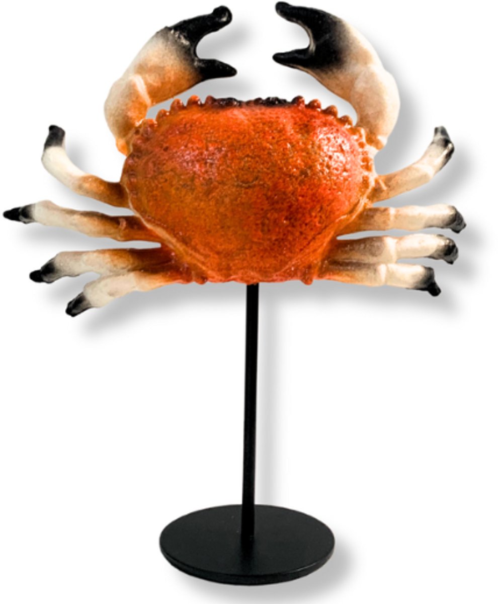 Kunst KRAB medium op standaard (polymeer)