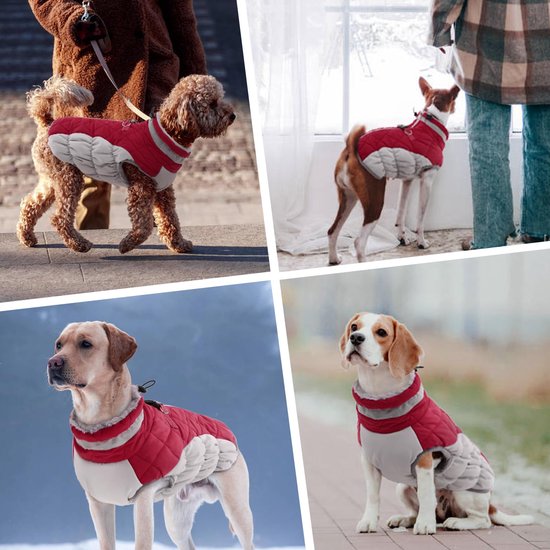 Manteau d'hiver élégant pour chien Inovra® pour toutes les tailles de chien - Imperméable et coupe-vent avec détails réfléchissants