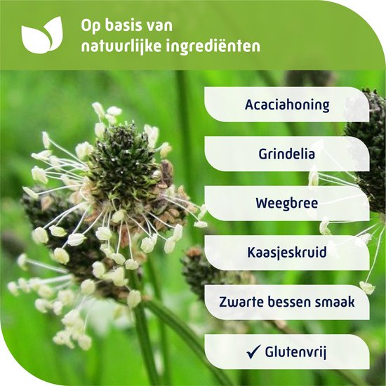 Natterman Direct Voor Alle Hoest kindersiroop - Voor droge en vastzittende hoest - Vanaf 1 jaar - Kids - Hoestdrank - Medisch hulpmiddel - 180 ml