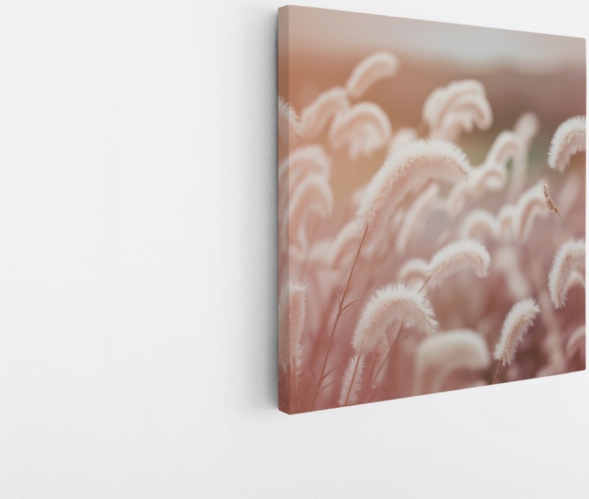 Saammp Canvas Schilderij - Roze fluffy Bloemen - Abstract - 100x100 - Foto op canvas - Wanddecoratie - Muurdecoratie Woonkamer - Kantoor Decoratie Multicolor