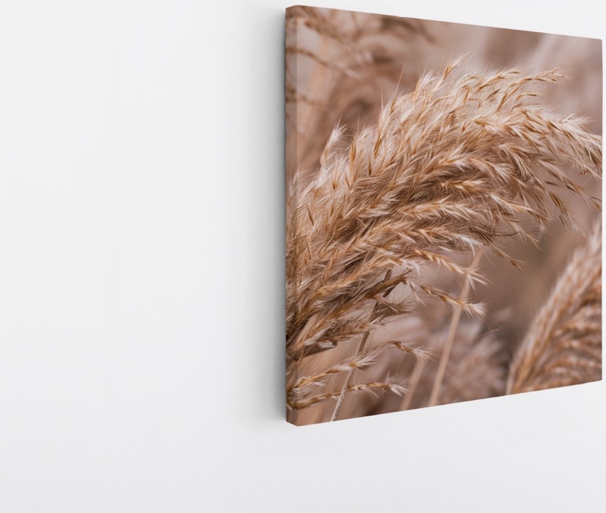 Saammp Canvas Schilderij - Pampas - Natuur - 100x100 - Foto op canvas - Wanddecoratie - Muurdecoratie Woonkamer - Kantoor Decoratie Multicolor