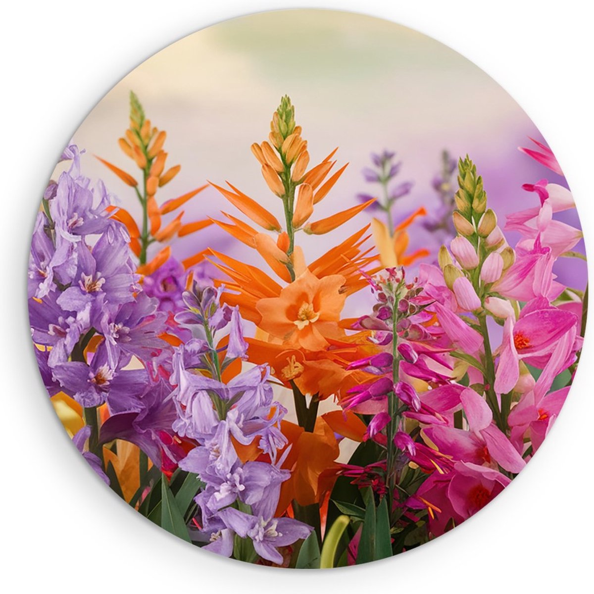 Saammp Forex Muurcirkel - Vrolijke bloemencompositie - Kleurrijk - Natuur - Abstract - Ø 30 - Wandcirkel - Wanddecoratie Cirkel - Muurdecoratie Woonkamer - Kantoor Decoratie