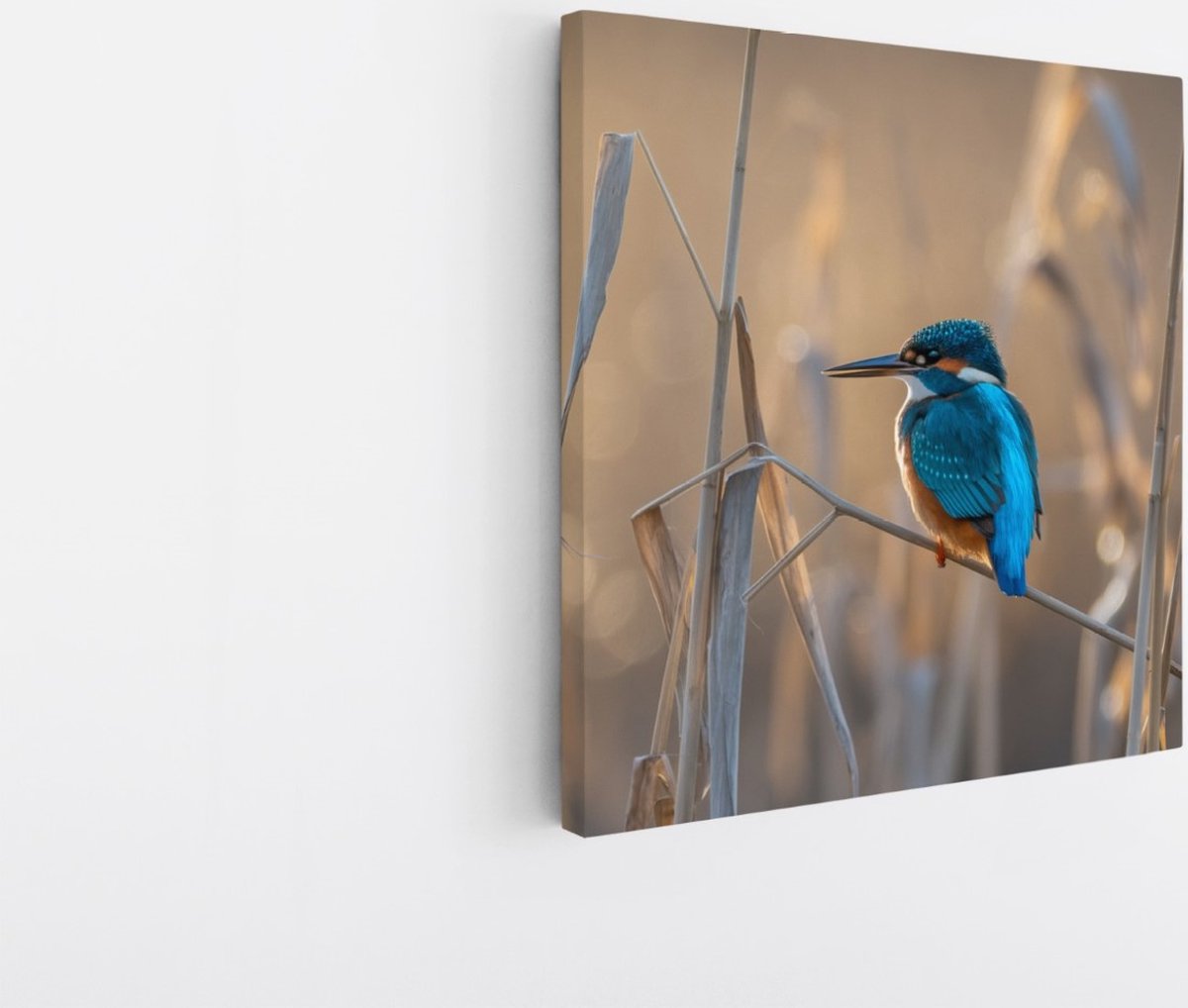 Saammp Canvas Schilderij - Vogel op tak - Dieren - Bloemen - 100x100 - Foto op canvas - Wanddecoratie - muurdecoratie Woonkamer - Slaapkamer decoratie - Canvas Print Multicolor