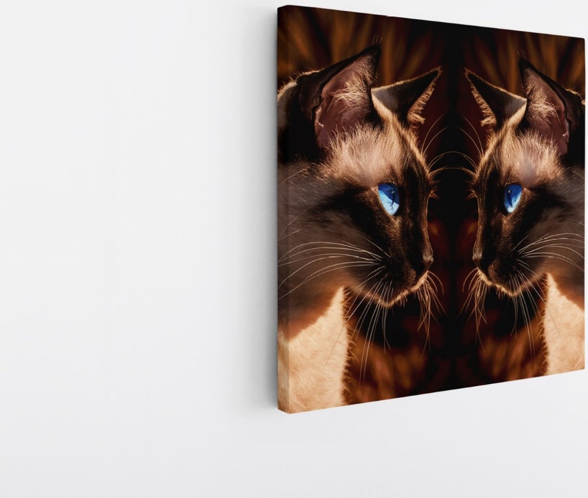 Saammp Canvas Schilderij - 2 Poezen - Natuur - Dieren - 30x30 - Foto op canvas - Wanddecoratie - Muurdecoratie Woonkamer - Slaapkamer decoratie - Canvas Print Multicolor