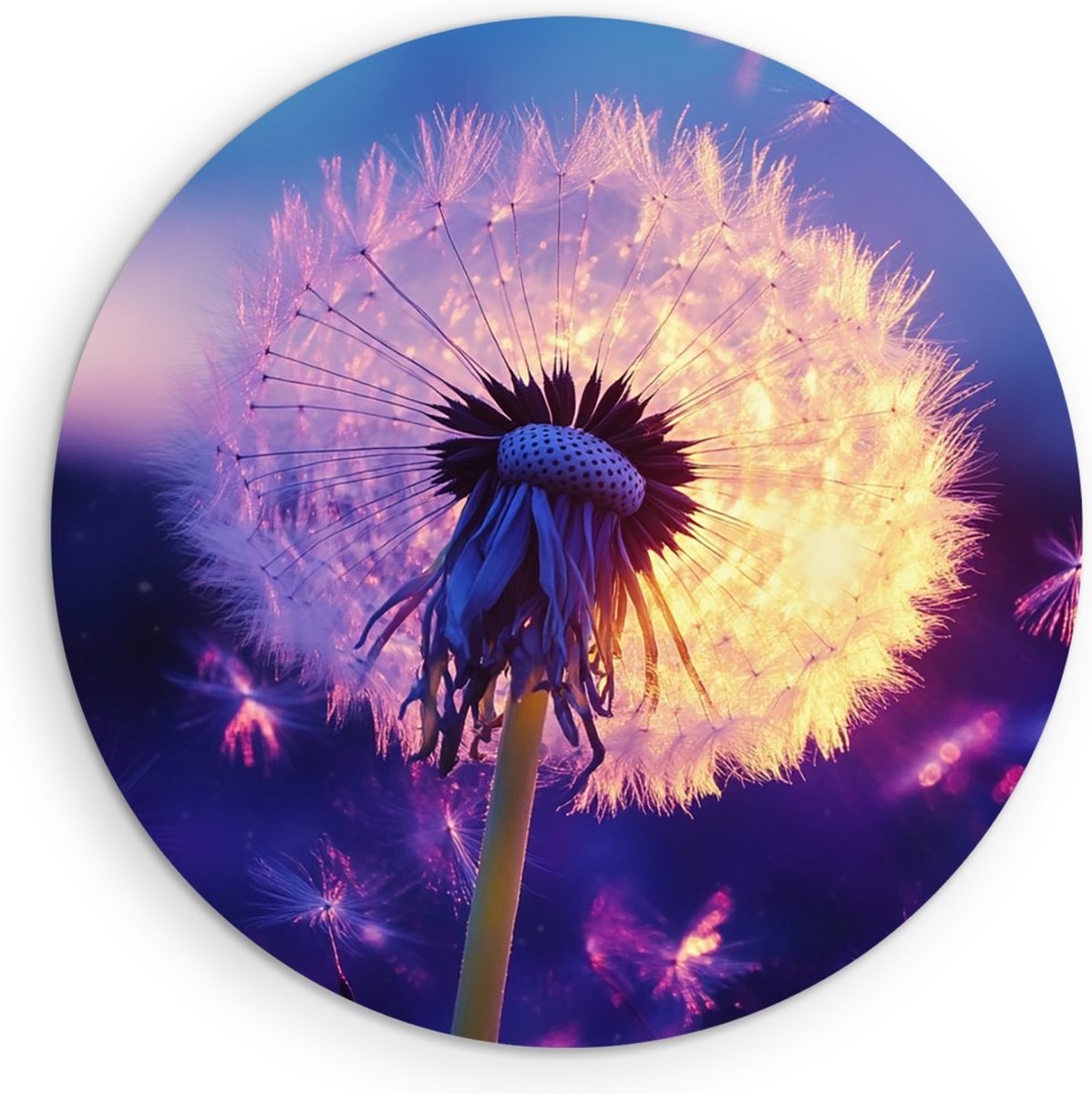 Saammp Forex Muurcirkel - Kleurrijke Paardebloem - Natuur - Bloemen - Ø 60 - Wandcirkel - Wanddecoratie Cirkel - Muurdecoratie Woonkamer - Woonkamer Decoratie