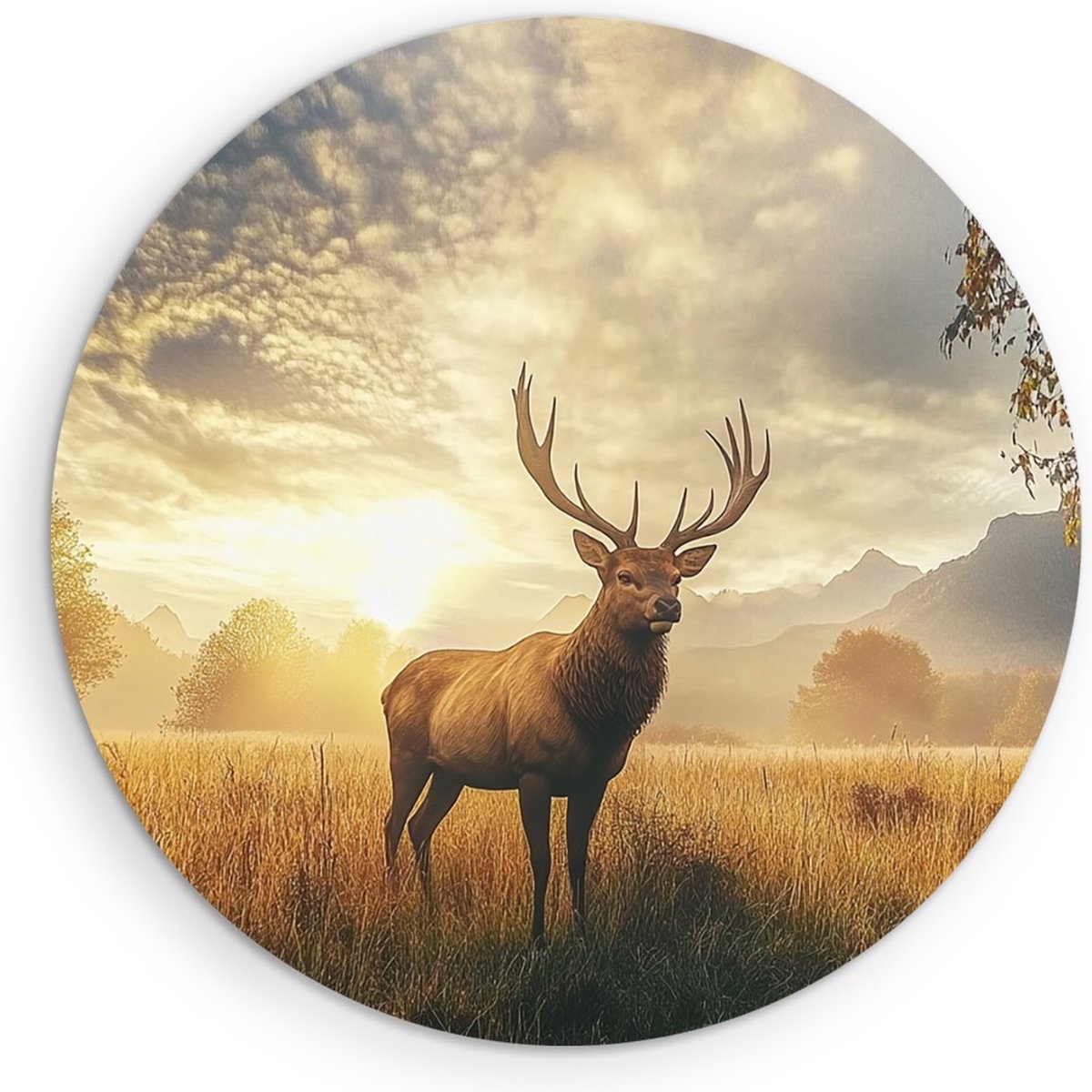 Saammp Forex Muurcirkel - Hert in mooie omgeving - Natuur - Dieren - Ø 90 - Wandcirkel - W