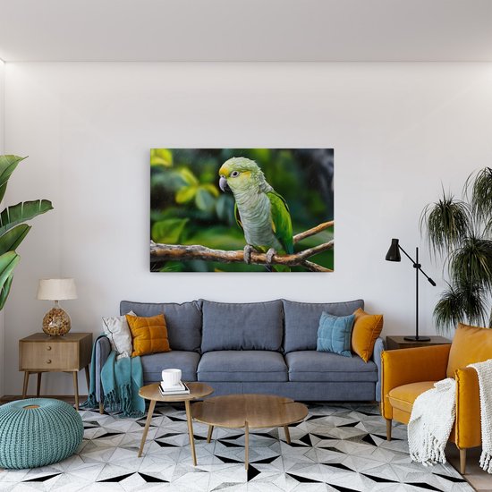 Tableau sur toile Saammp - Perroquet - Nature - Animaux - 120x80 - Photo sur toile - Décoration murale - Décoration murale murale Salon - Décoration chambre - Impression sur toile