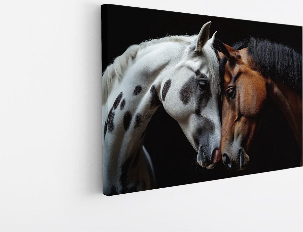 Saammp Canvas Schilderij - paarden met hoofden tegen elkaar - Liefde - Dieren - Natuur - 60x40 - Foto op canvas - Wanddecoratie - muurdecoratie Woonkamer - Slaapkamer decoratie - Canvas Print Multicolor