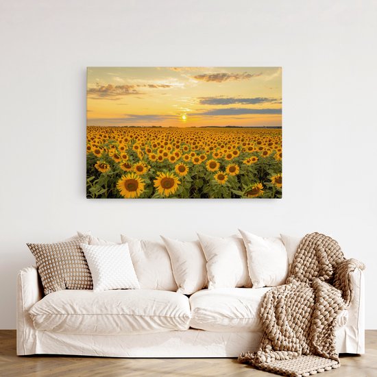 Tableau sur toile Saammp - Champ de tournesols - Paysage - Nature - 150x100 - Photo sur toile - Décoration murale - Décoration murale Salon - Décoration chambre - Impression sur toile