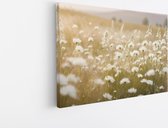Saammp Canvas Schilderij - Landschap - Wit - Bloemen van dichtbij - Natuur - 40x30 - Foto op canvas - Wanddecoratie - Muurdecoratie Woonkamer - Slaapkamer decoratie - Canvas Print