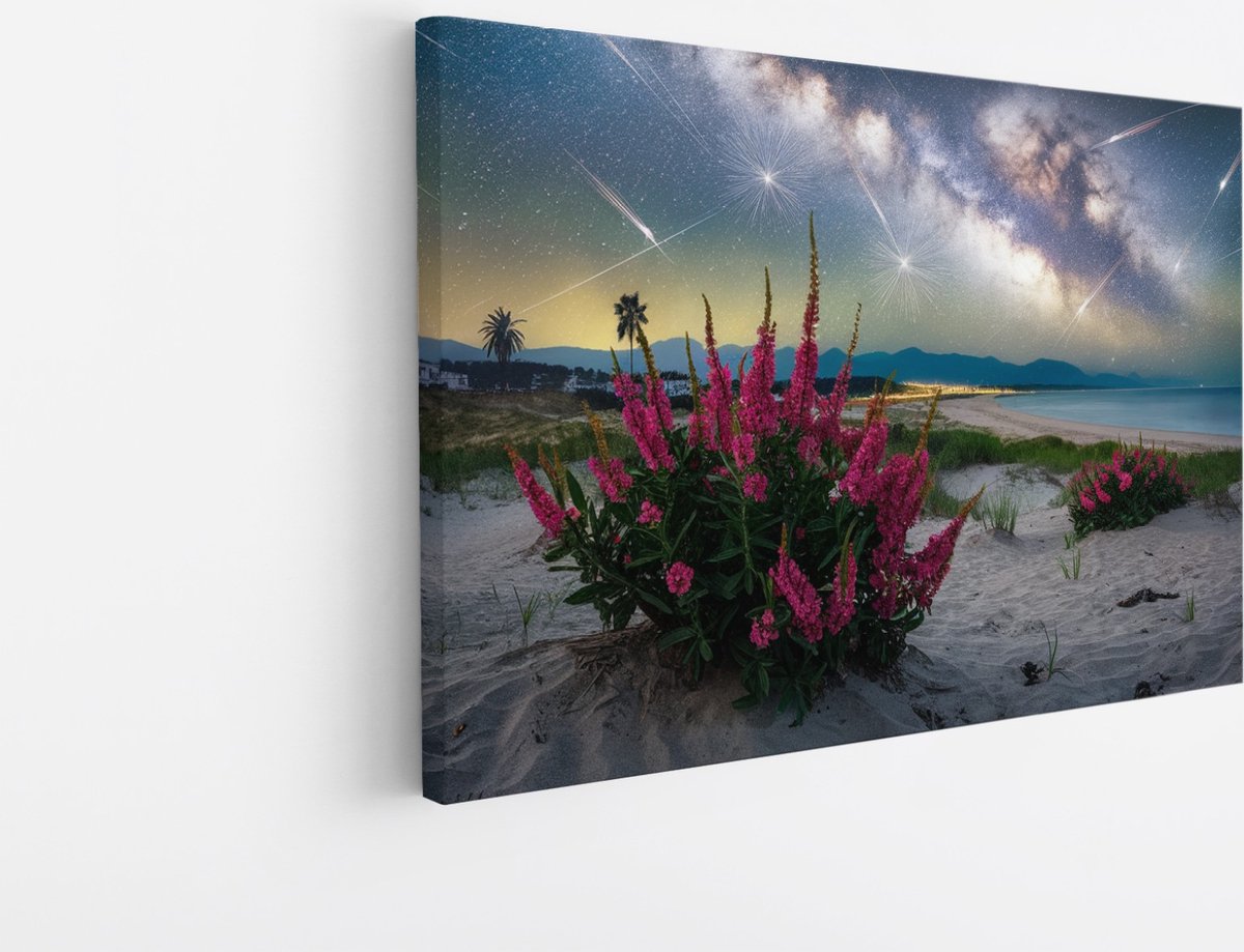 Saammp Canvas Schilderij - Vallende Ster - Natuur - Landschap - 40x30 - Foto op canvas - Wanddecoratie - Muurdecoratie Woonkamer - Slaapkamer decoratie - Canvas Print Multicolor