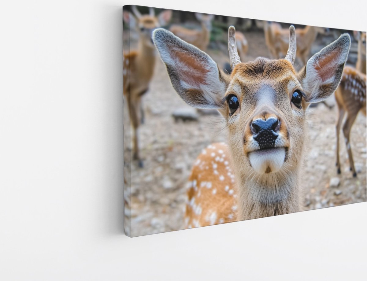 Saammp Canvas Schilderij - jong hert met andere herten - Natuur - Dieren - 40x30 - Foto op canvas - Wanddecoratie - Muurdecoratie Woonkamer - Slaapkamer decoratie - Canvas Print Multicolor
