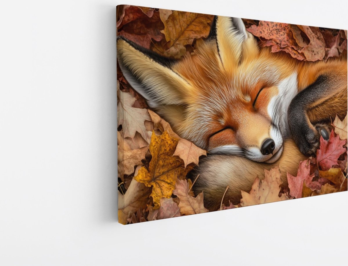 Saammp Canvas Schilderij - Slapende Vos - Schattig - Natuur - Dieren - 45x30 - Foto op canvas - Wanddecoratie - Muurdecoratie Woonkamer - Slaapkamer decoratie - Canvas Print Multicolor