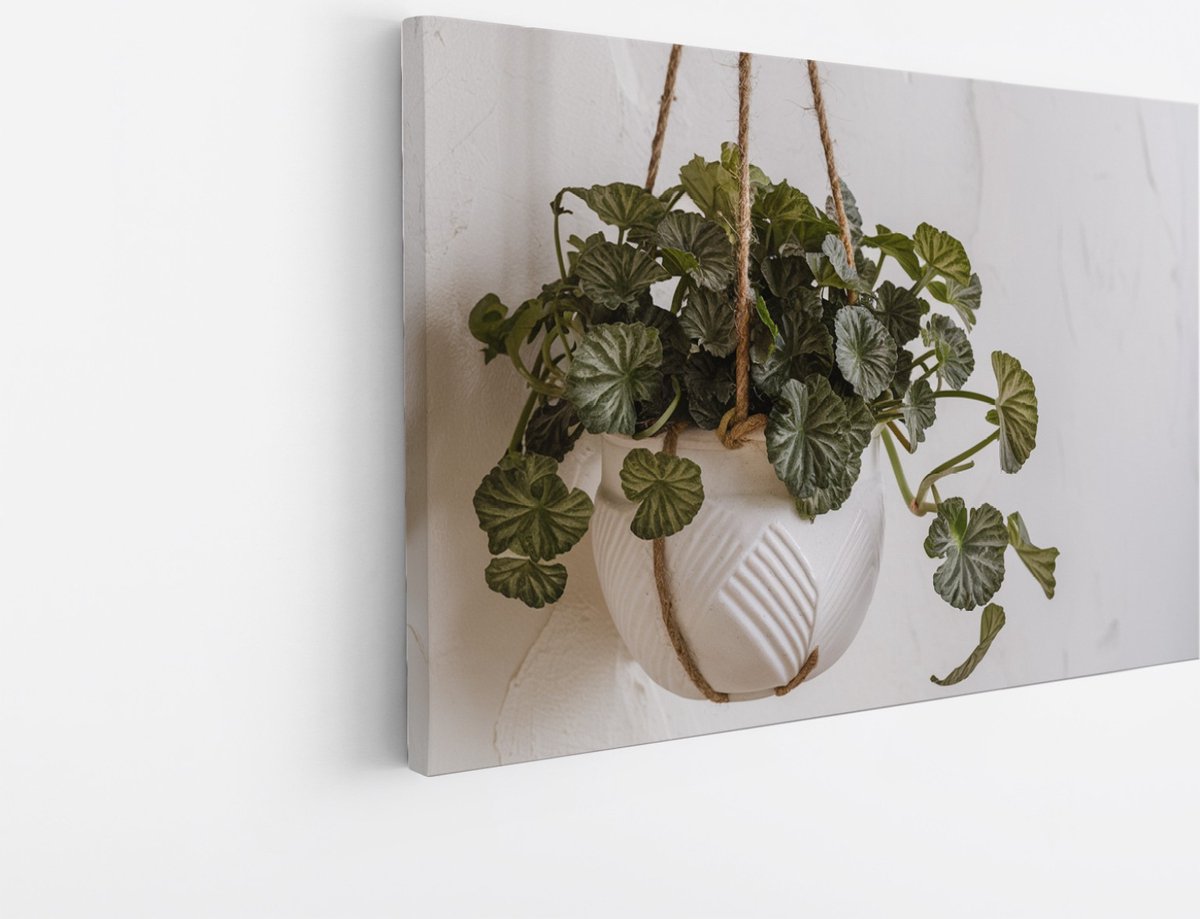 Saammp Canvas Schilderij - Planten in hangende bak - Bloemen - Abstract - 30x20 - Foto op canvas - Wanddecoratie - Muurdecoratie Woonkamer - Kantoor Decoratie Multicolor