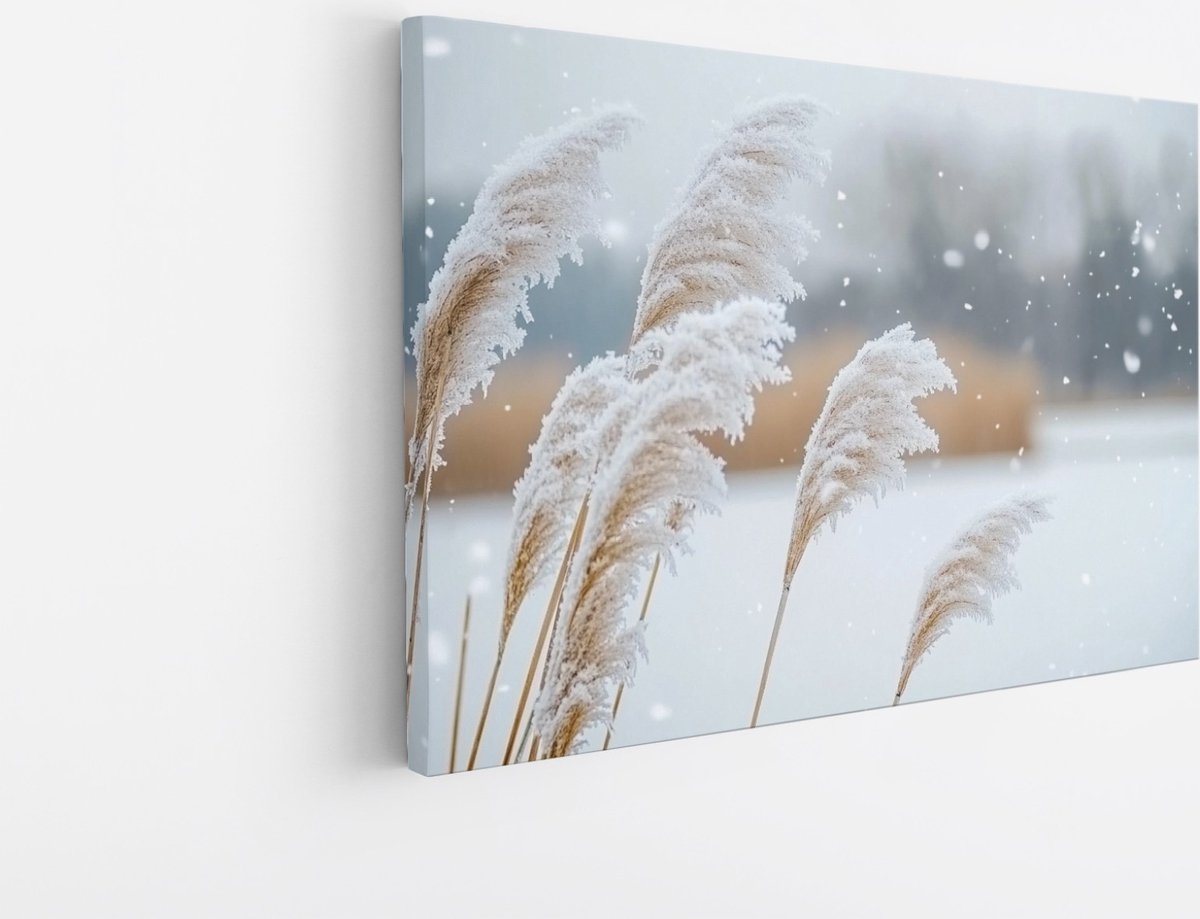 Saammp Canvas Schilderij - Winterse Rietpluimen in de Sneeuw - Natuur - Landschap - 70x50 - Foto op canvas - Wanddecoratie - Muurdecoratie Woonkamer - Kantoor Decoratie Multicolor