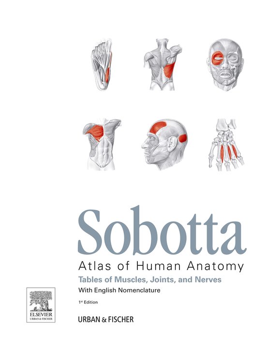 Sobotta Tables of Muscles, Joints and Nerves, English - cover