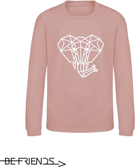 Be Friends Sweater - Olifant - Heren - Roos - Maat L